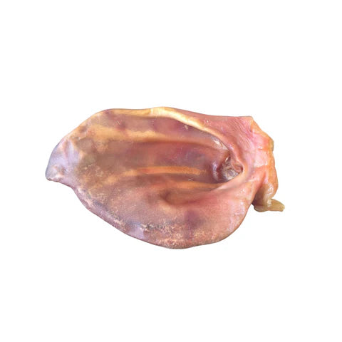 Natural Pig Ear