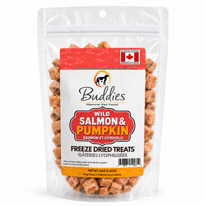 Buddies Freeze-Dried Salmon & Pumpkin, 65g
