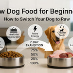 Raw Dog Food for Beginners — How to Switch Your Dog to Raw