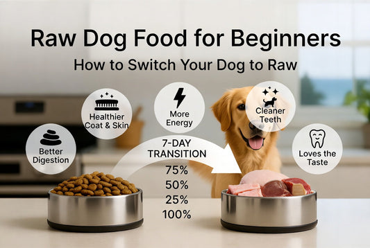 Raw Dog Food for Beginners — How to Switch Your Dog to Raw