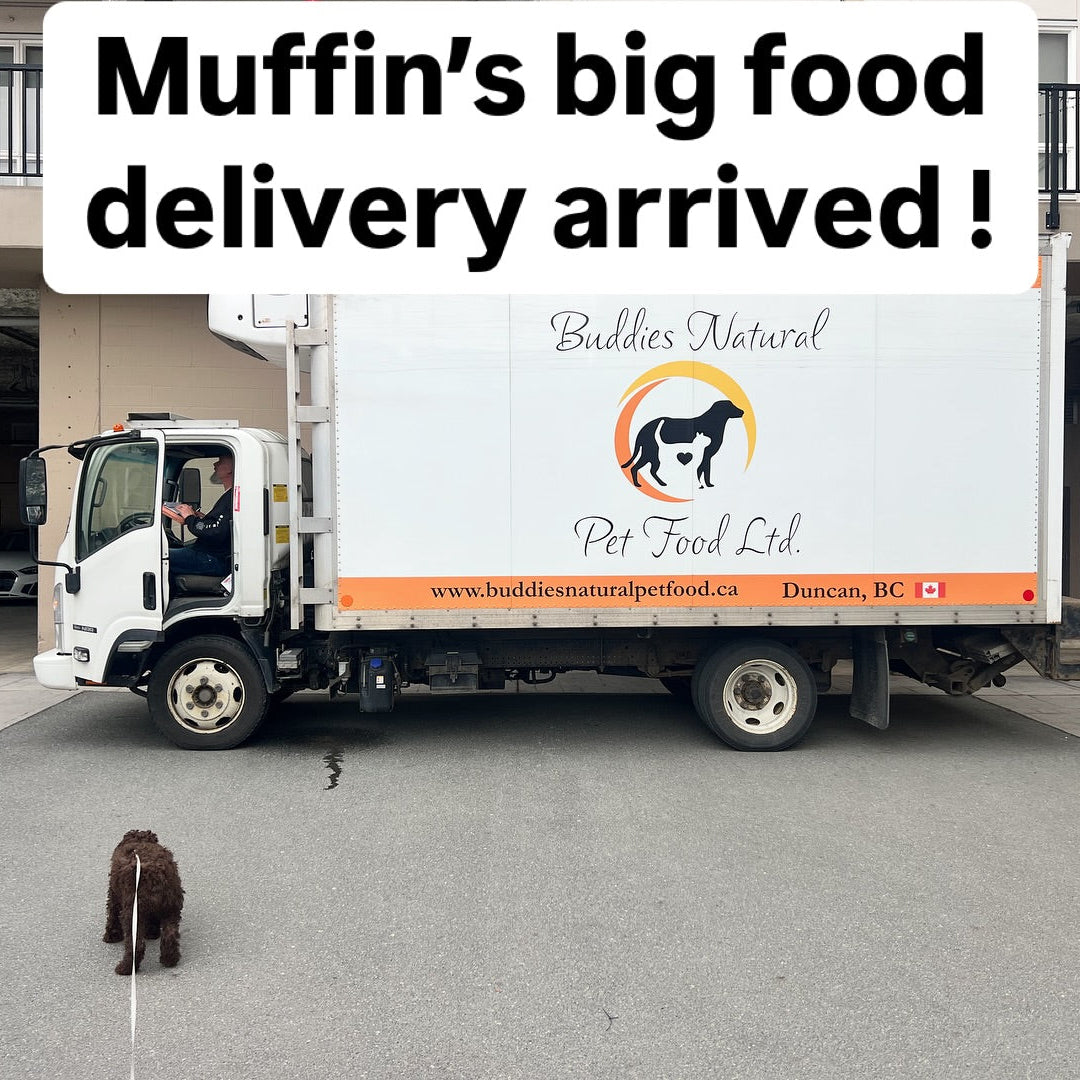 Truck delivering food for a pet named Muffin, with 'Buddies Natural Pet Food Ltd.' branding.