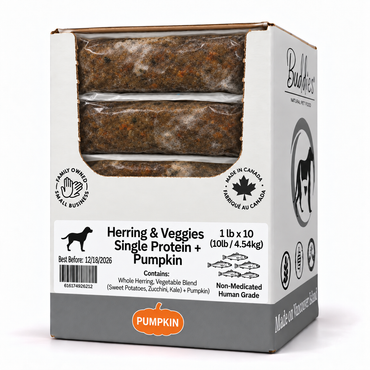 Buddies Herring & Veggies + Pumpkin 10lb box