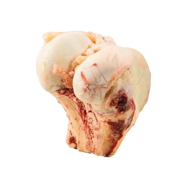 K9 Choice Buffalo Knuckle Bone